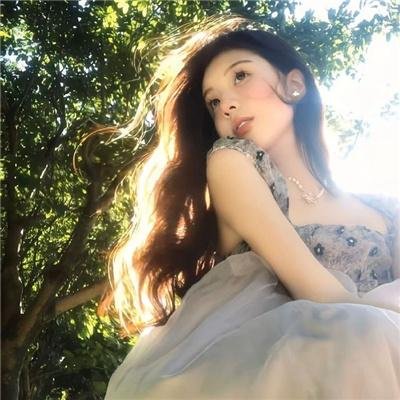 大象之梦
