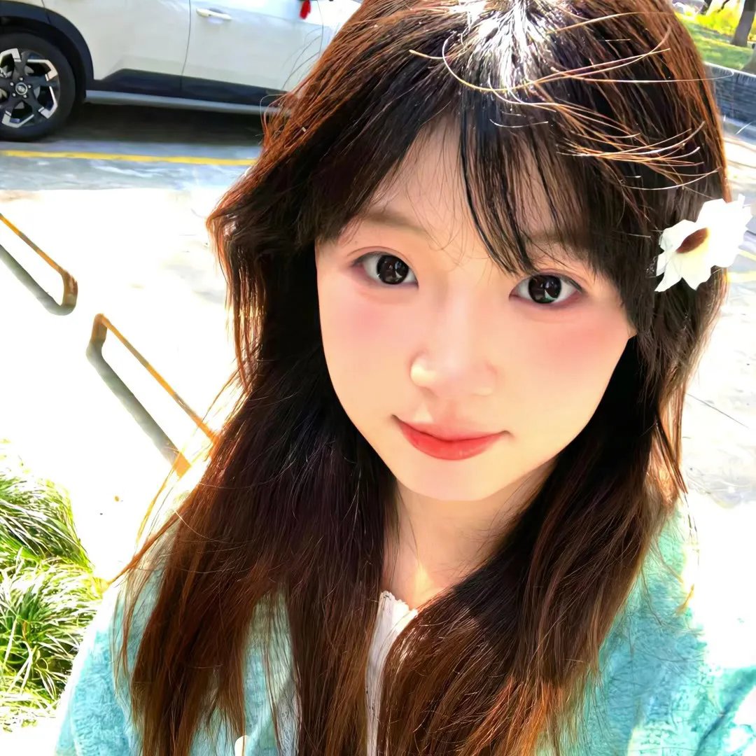盗贼泰瑞莎